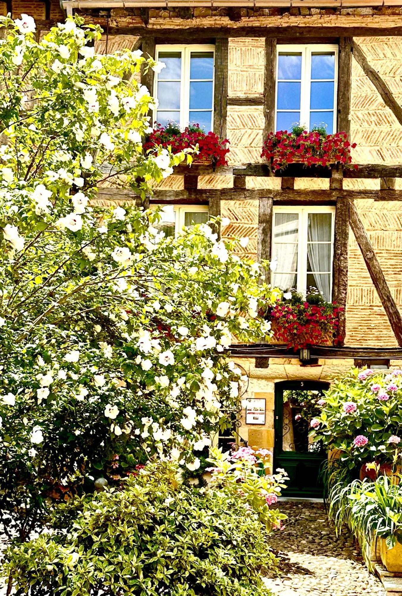 Bed and Breakfast Le Logis Plantagenet à Bergerac Extérieur photo